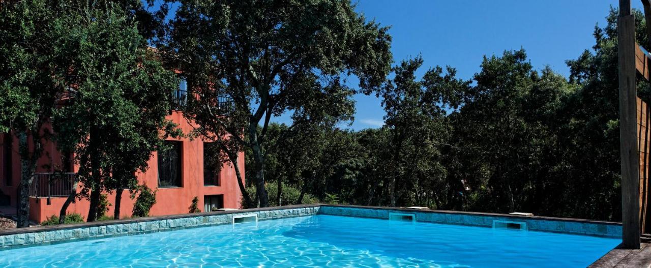 Hotel Restaurant Spa Disini Montpellier Est, The Originals Relais Castries Esterno foto
